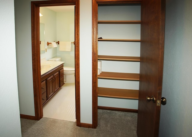 closet with a sink