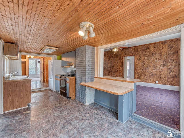 kitchen with wooden ceiling, black / electric stove, a sink, and freestanding refrigerator