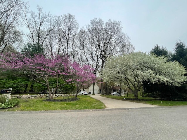 view of front facade with driveway