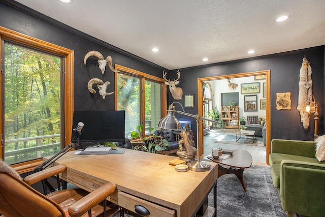 office with a healthy amount of sunlight, crown molding, a textured ceiling, and wood finished floors