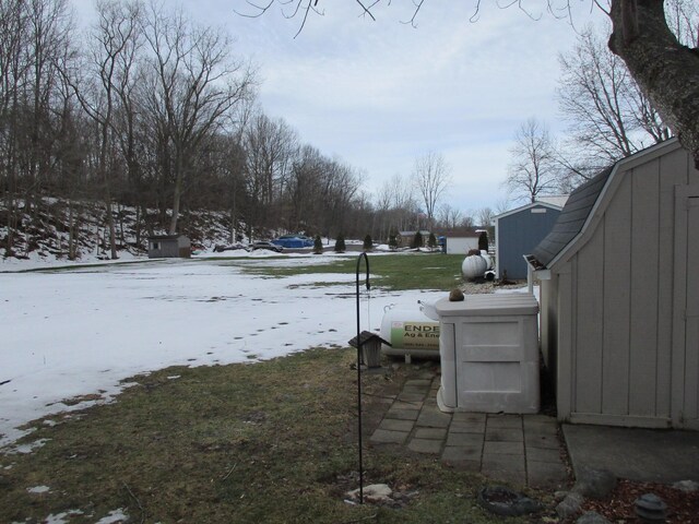 view of snowy yard