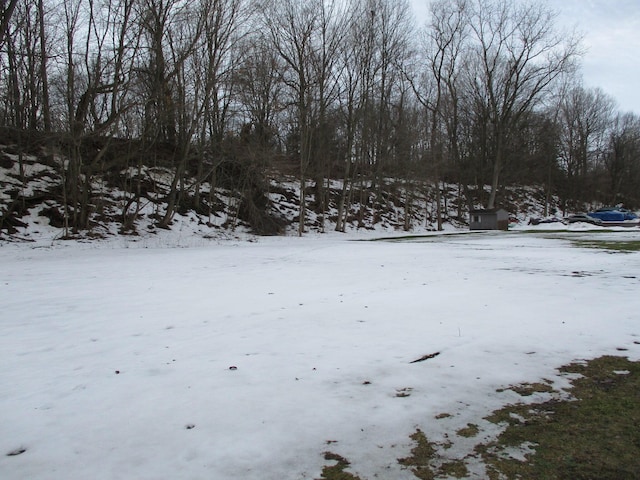 view of yard covered in snow