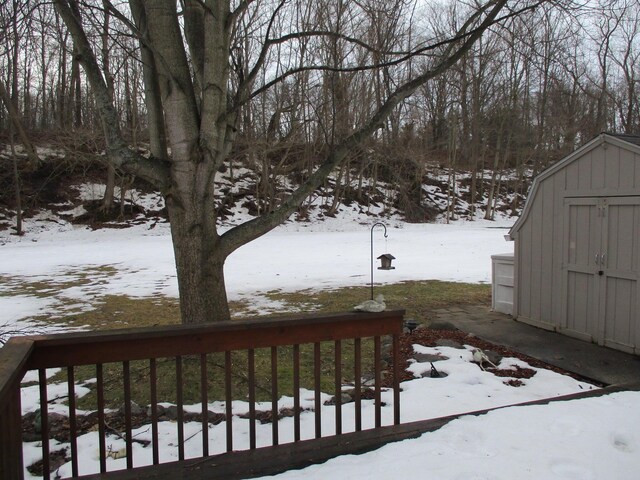 yard covered in snow with a shed and an outdoor structure