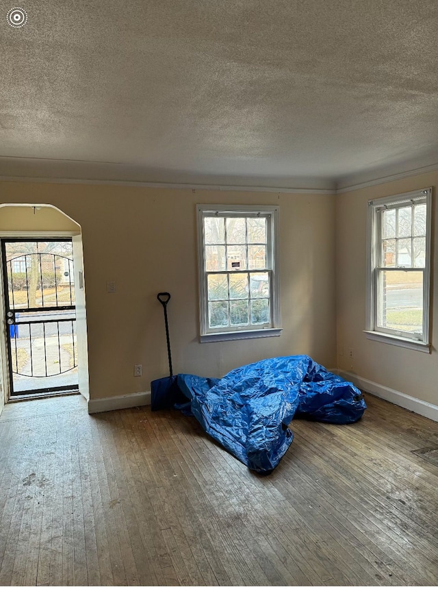 unfurnished bedroom with hardwood / wood-style floors, multiple windows, and baseboards