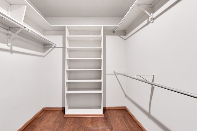 spacious closet featuring wood finished floors