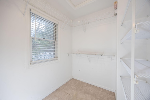 spacious closet featuring light carpet