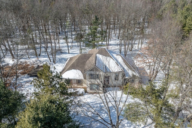 view of snowy aerial view