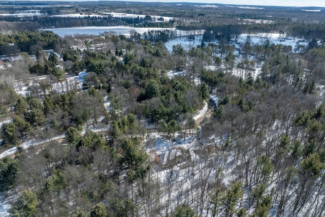 bird's eye view with a water view and a wooded view