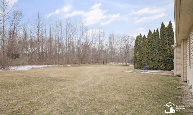 view of yard featuring a patio