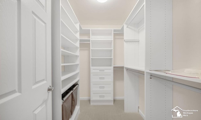 walk in closet with light colored carpet