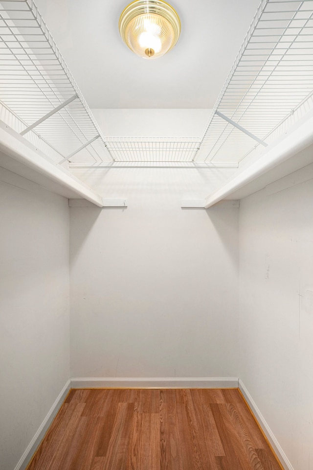 walk in closet featuring wood finished floors