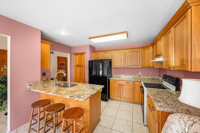 kitchen featuring electric range oven, freestanding refrigerator, a sink, a peninsula, and under cabinet range hood