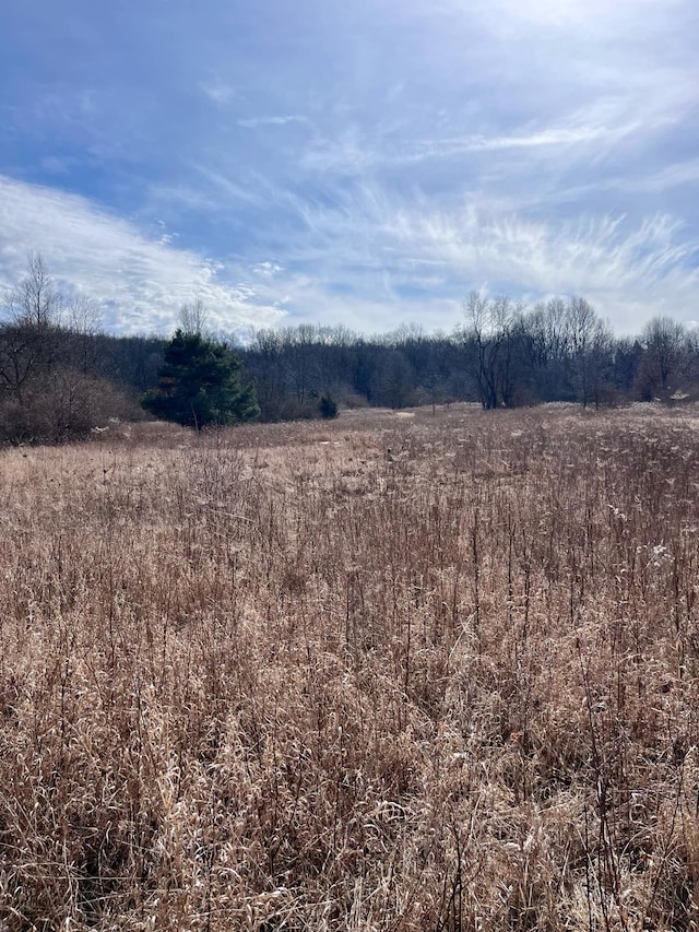 PARCEL2 Coon Lake Rd, Howell MI, 48843 land for sale