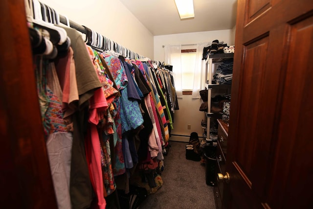 spacious closet with carpet floors