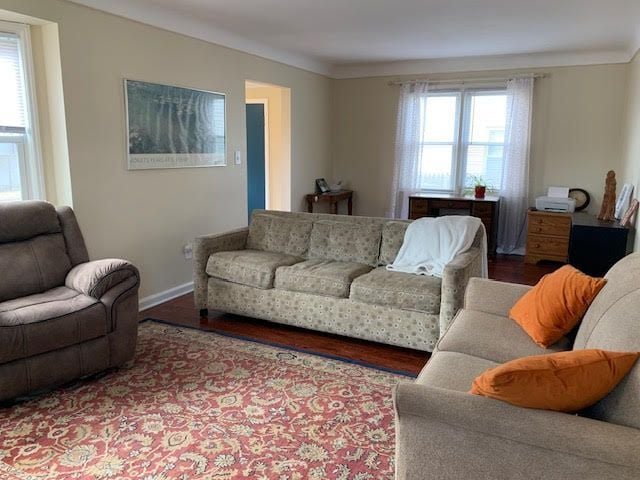 living room with a healthy amount of sunlight, baseboards, and wood finished floors