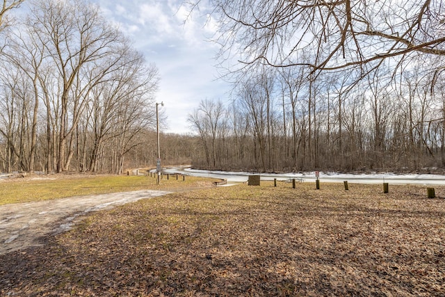 view of yard featuring a water view and a view of trees