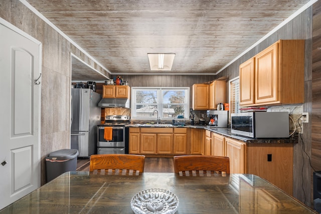 kitchen featuring dark countertops, appliances with stainless steel finishes, a sink, under cabinet range hood, and backsplash