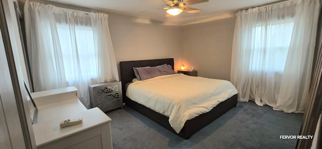 bedroom with ceiling fan, multiple windows, and dark carpet