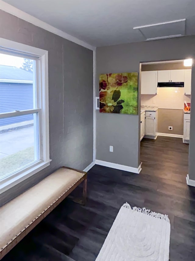 interior space featuring dark wood finished floors, attic access, and baseboards