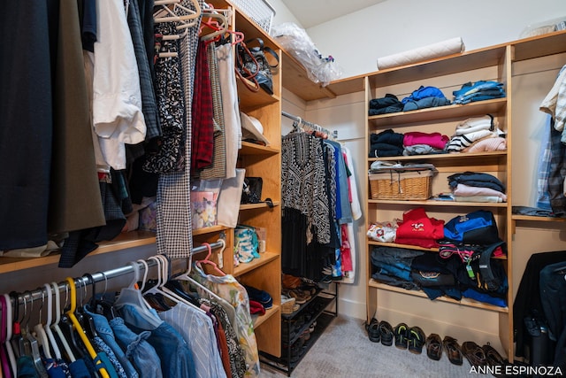 spacious closet featuring carpet