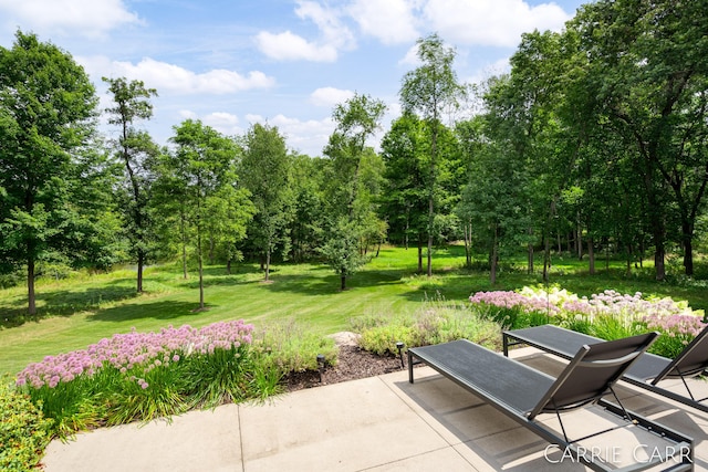 view of property's community featuring a patio area and a yard