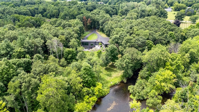 aerial view with a wooded view