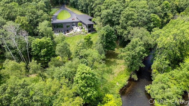 drone / aerial view with a water view and a view of trees