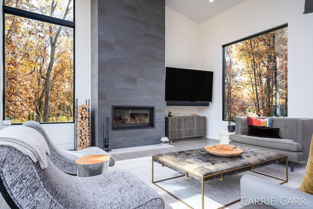 living area featuring wood finished floors and a tile fireplace