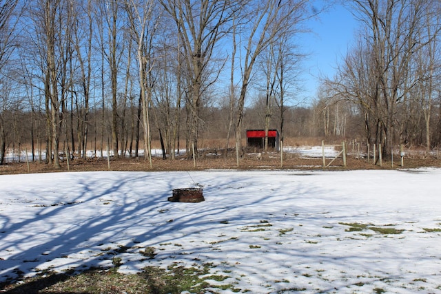 view of yard covered in snow