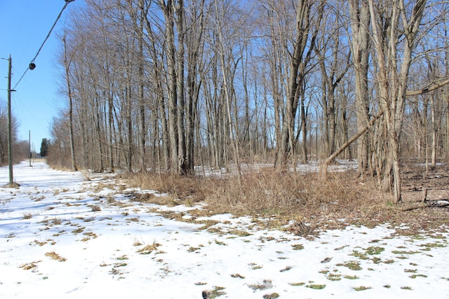 view of yard covered in snow