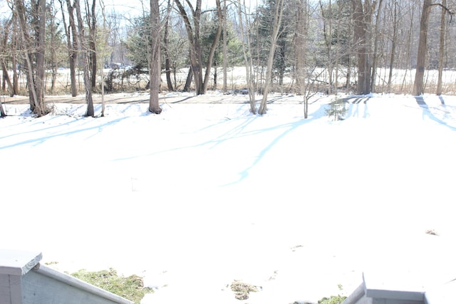 view of yard covered in snow