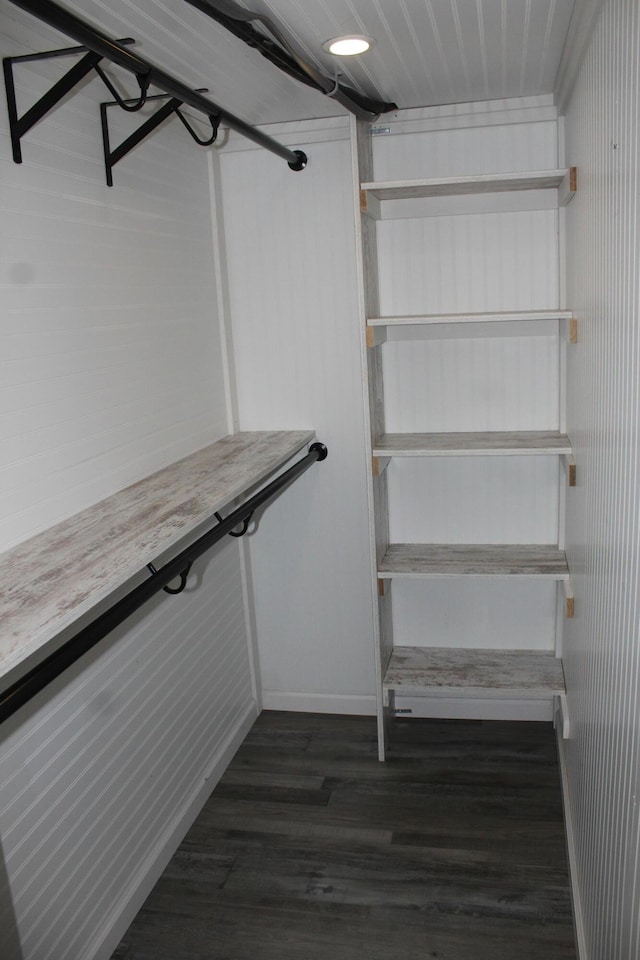 spacious closet featuring dark wood-style floors