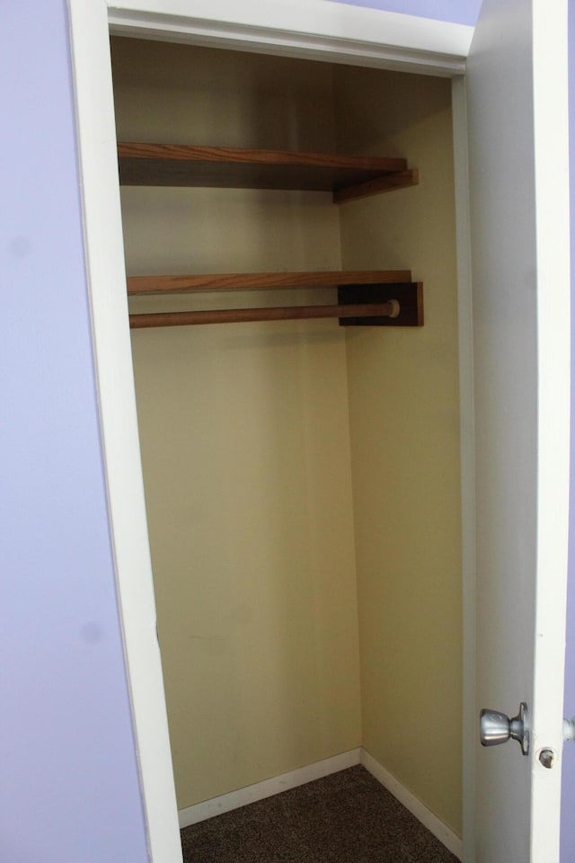 view of closet