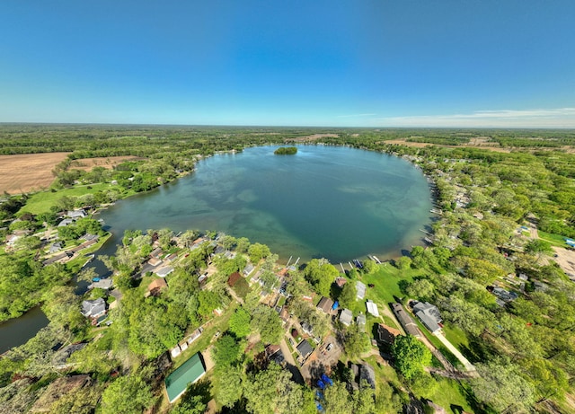 bird's eye view featuring a water view and a forest view