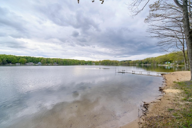 water view featuring a forest view