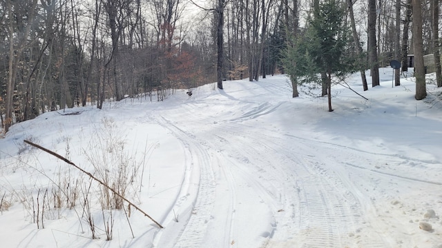 yard covered in snow featuring a forest view