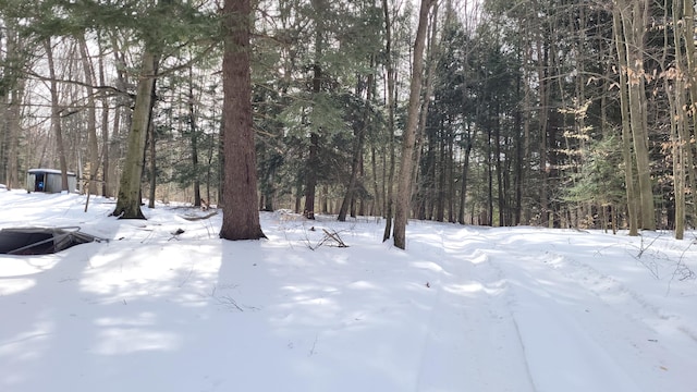 view of yard layered in snow