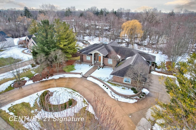 view of snowy aerial view