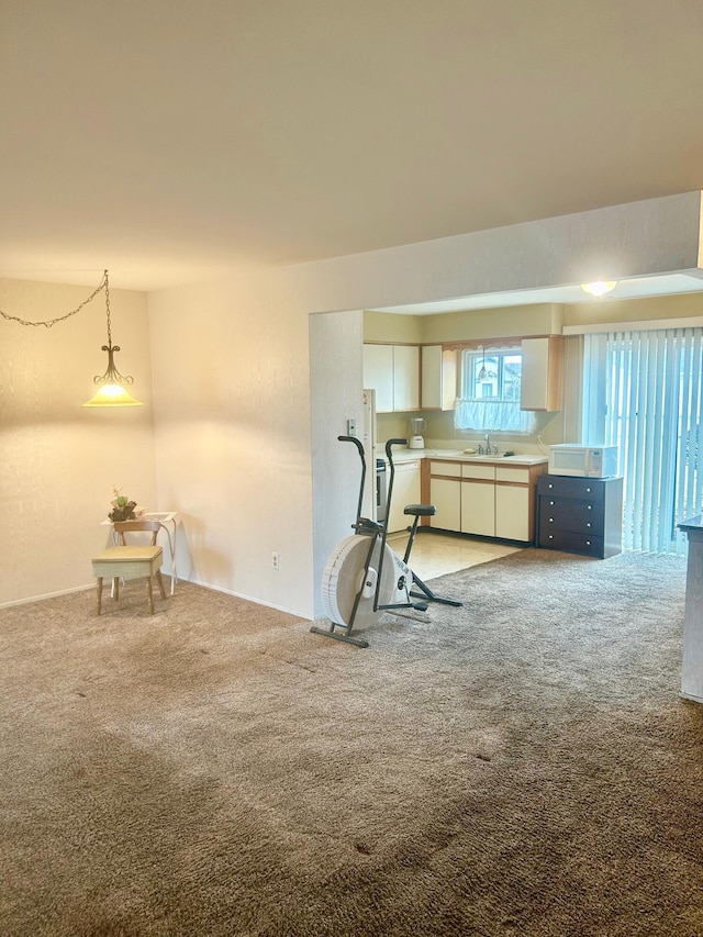 workout room featuring light colored carpet and a sink