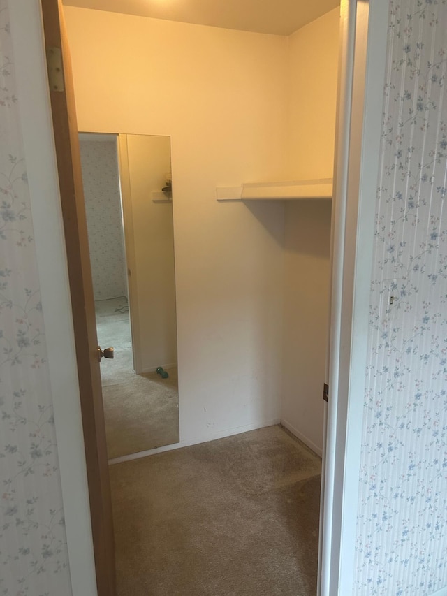 spacious closet featuring carpet floors