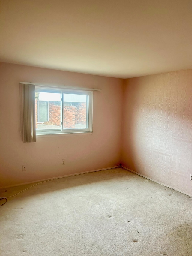 empty room featuring carpet floors