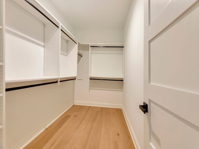 spacious closet featuring light wood finished floors