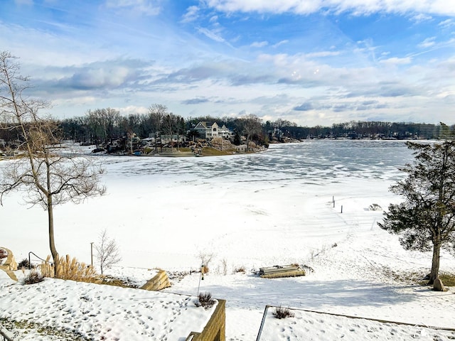 view of snowy yard