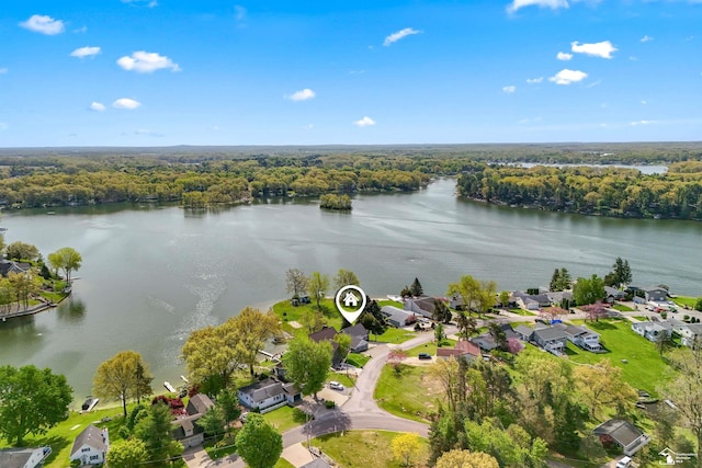 11799 Greenbriar Dr, Jerome, MI 49249 - aerial view of residential area with a nearby body of water and a forest