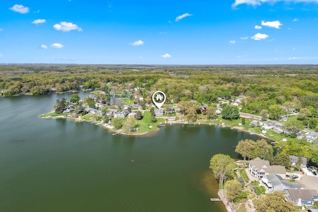 11799 Greenbriar Dr, Jerome, MI 49249 - aerial view of property and surrounding area featuring a heavily wooded area and a large body of water