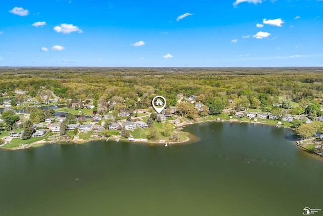 11799 Greenbriar Dr, Jerome, MI 49249 - view of property location with a heavily wooded area and a large body of water