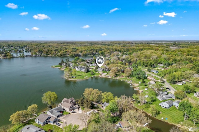 11799 Greenbriar Dr, Jerome, MI 49249 - aerial view of property and surrounding area featuring a heavily wooded area, a large body of water, and nearby suburban area