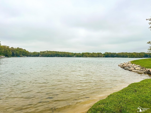 11799 Greenbriar Dr, Jerome, MI 49249 - water view featuring a forest