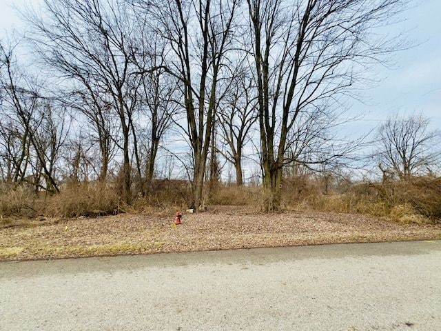 0000 Wahrman St, Romulus MI, 48174 land for sale