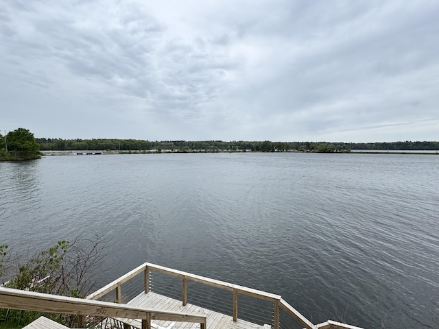 5855 Ridge St, Newaygo, MI 49337 - water view